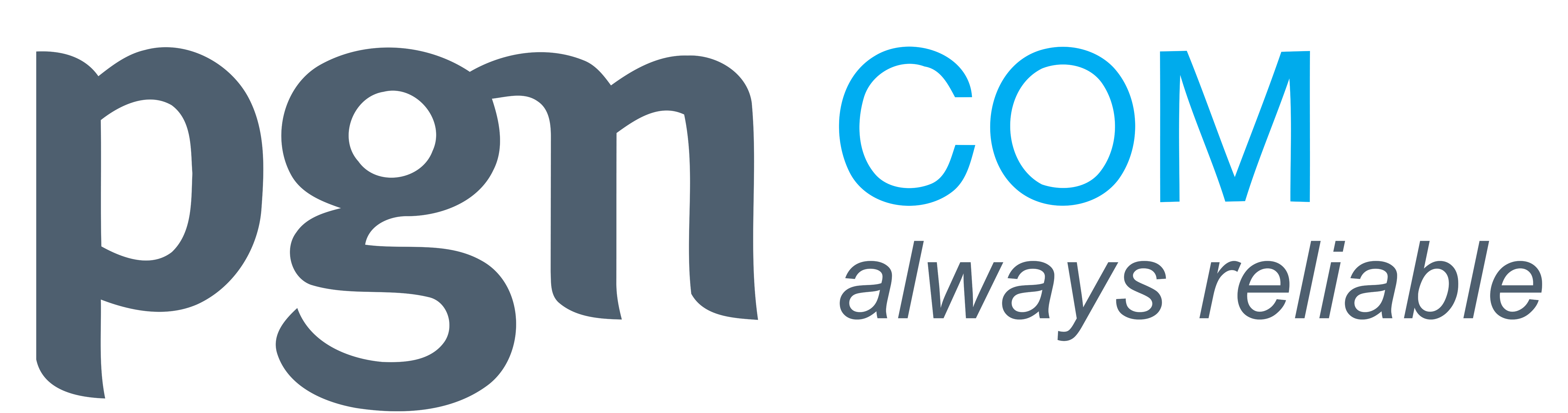 PGNCOM Logo